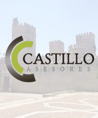 Castillo asesores
