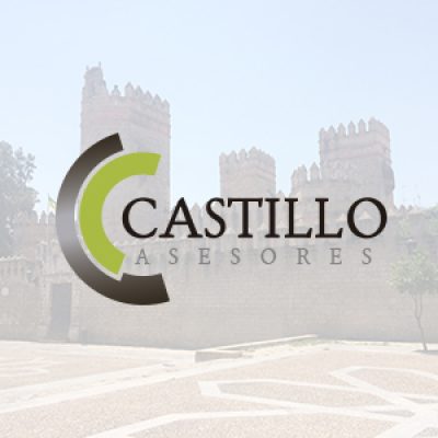 Castillo asesores