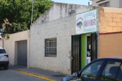 Frutería Alimentación Dama de Noche